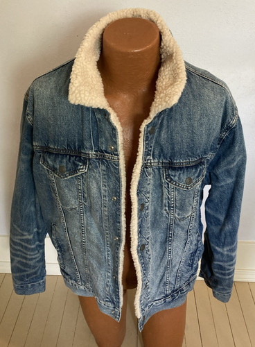 American eagle light - eagle, blue